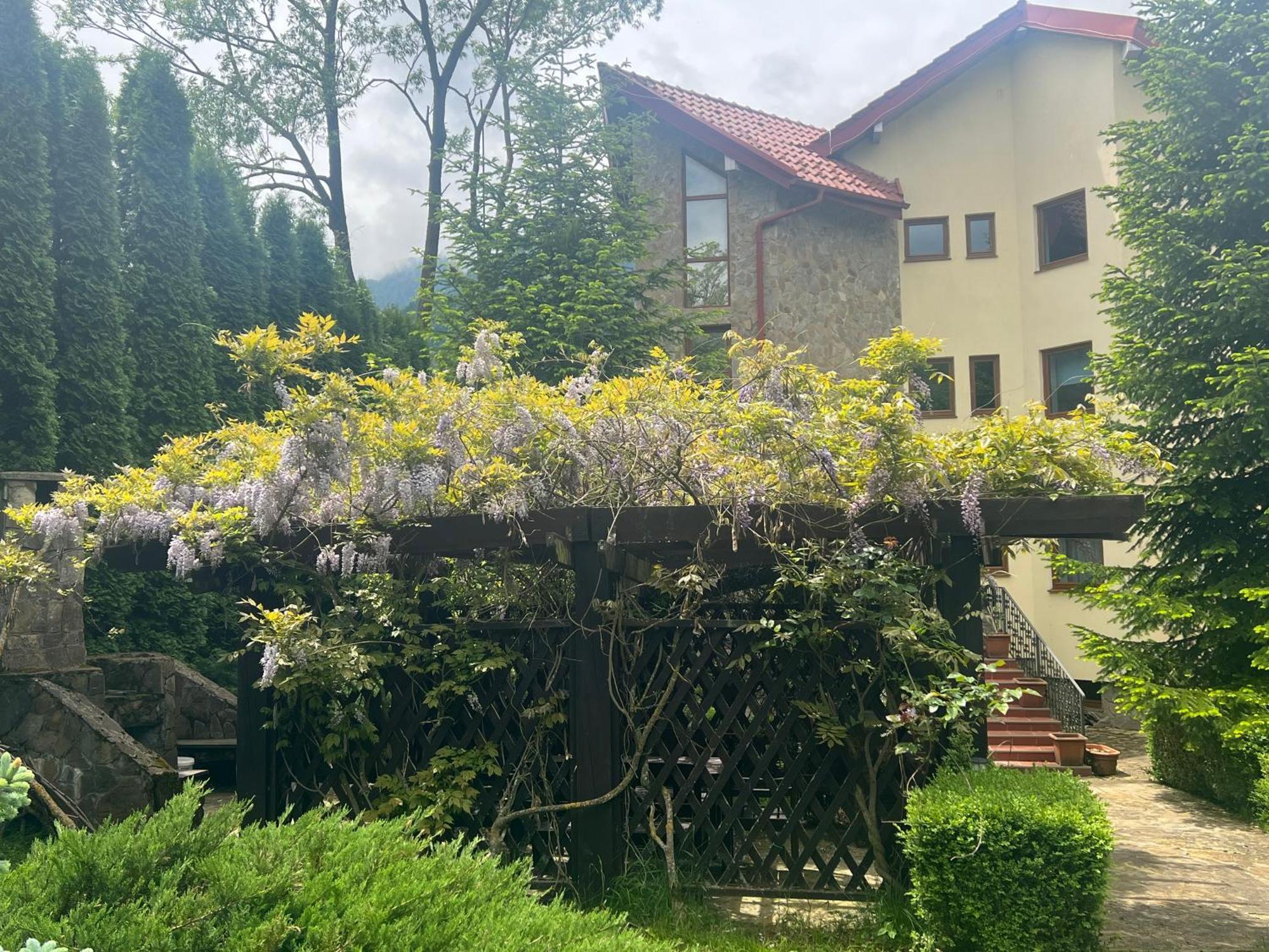 Wine Cellar Villa With Beautiful Garden In Sinaia - Busteni Poiana Tapului Exterior foto