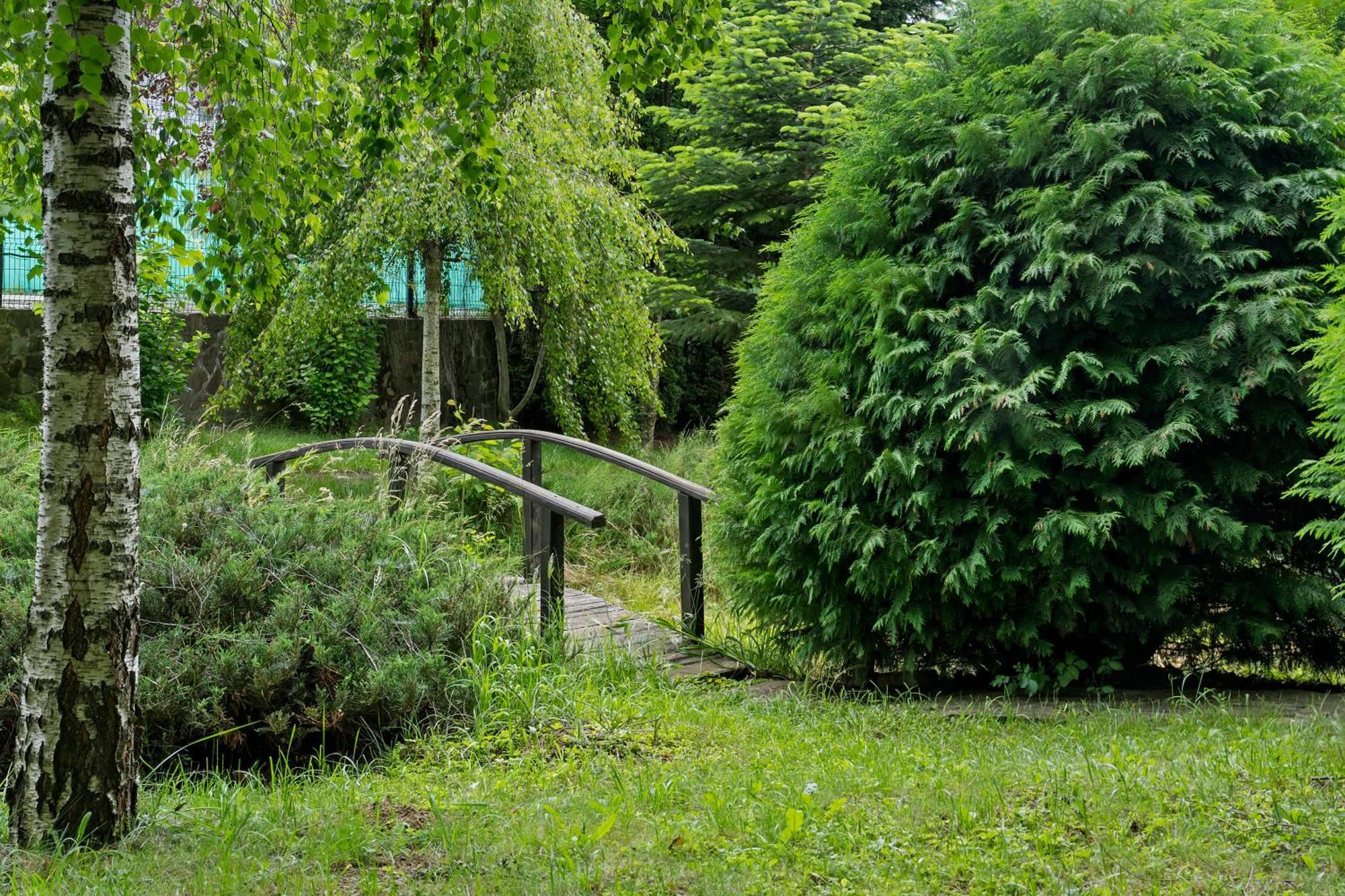 Wine Cellar Villa With Beautiful Garden In Sinaia - Busteni Poiana Tapului Exterior foto